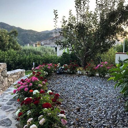 La Pergola Appartamenti Santa Lucia del Mela Dış mekan fotoğraf